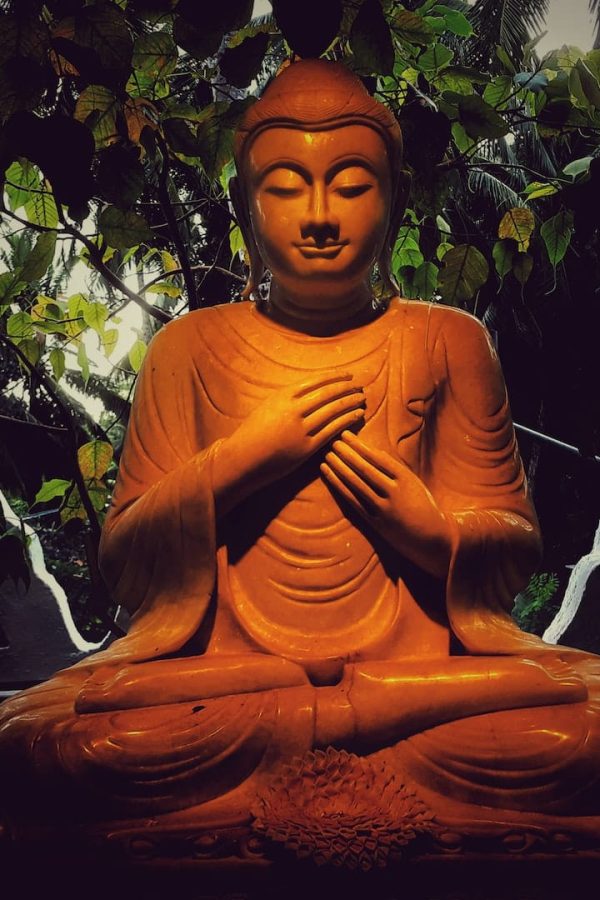 lahiru-supunchandra-xE0b_dSVf7A-unsplash